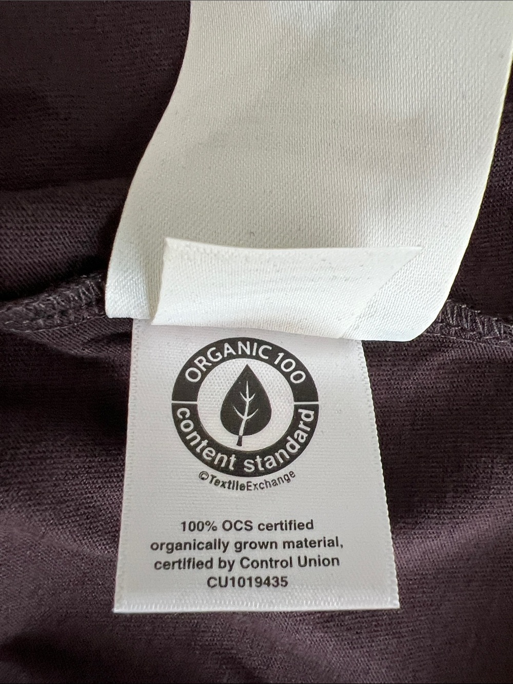 New Everlane THE BOX-CUT TEE IN ESSENTIAL COTTON in Plum Size XL - Picture 6 of 8